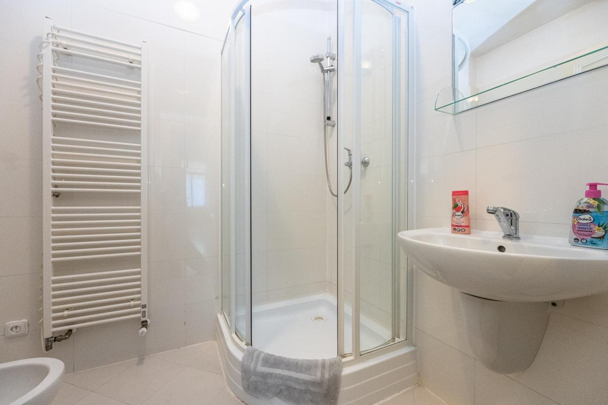 Jiriho Z Podebrad Apartment Prague