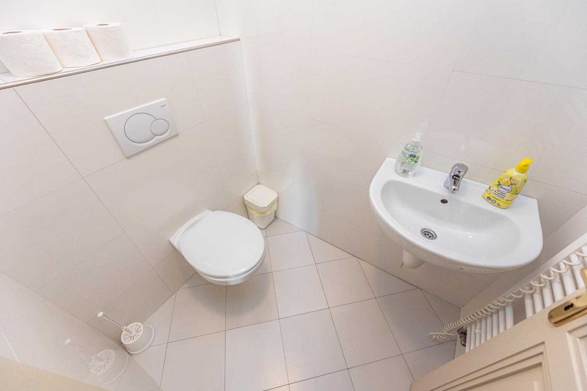 Apartment Jiriho Z Podebrad Prague